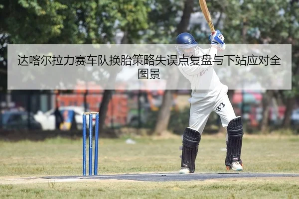 达喀尔拉力赛车队换胎策略失误点复盘与下站应对全图景